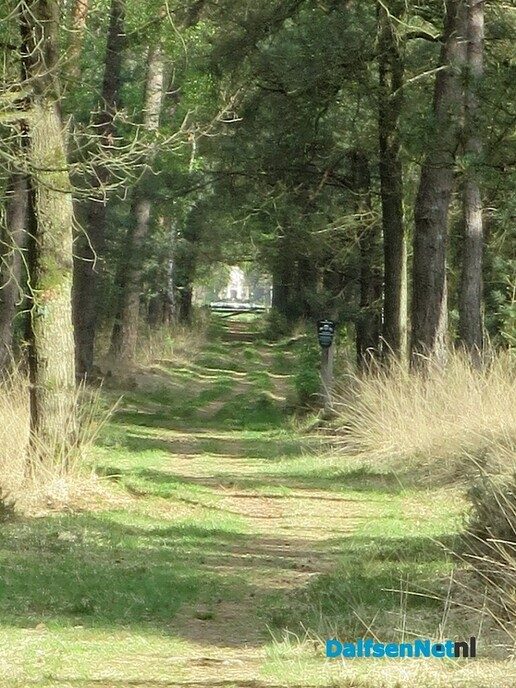 Vroeg 8,5 km struinen door de bossen vanaf het station  - Foto: Wim