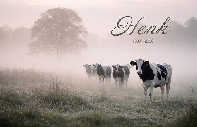 Overlijdensbericht Henk van Leussen