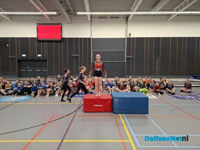 Succesvolle zaterdag voor turnselectie - Foto: Ingezonden foto