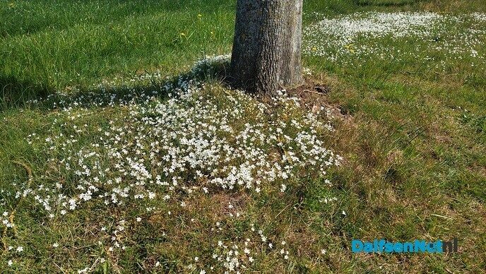 Voorjaarstocht met 400 wandelaars - Foto: Ingezonden foto