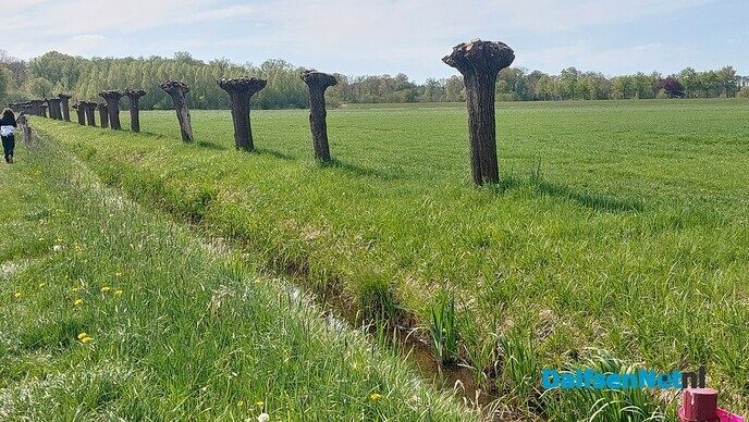 Voorjaarstocht met 400 wandelaars - Foto: Ingezonden foto