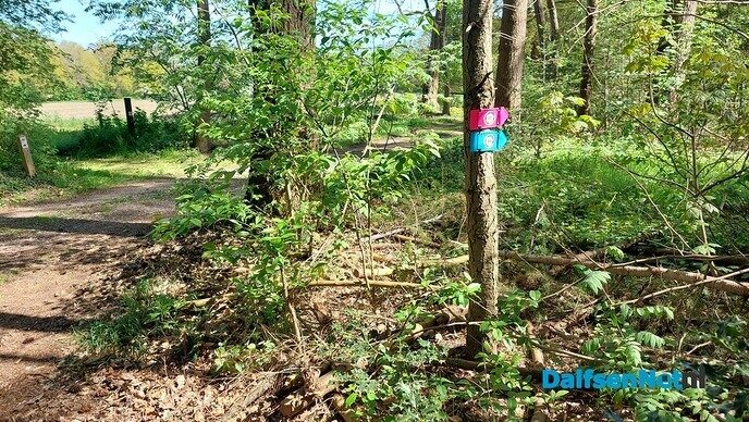 Voorjaarstocht met 400 wandelaars - Foto: Ingezonden foto
