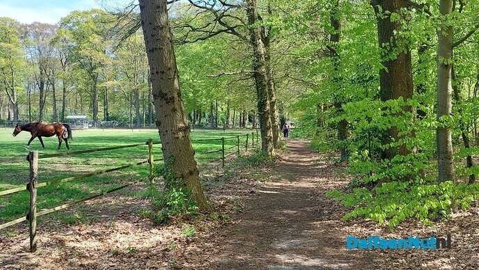 Voorjaarstocht met 400 wandelaars - Foto: Ingezonden foto