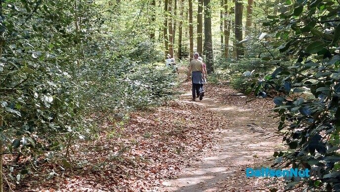 Voorjaarstocht met 400 wandelaars - Foto: Ingezonden foto