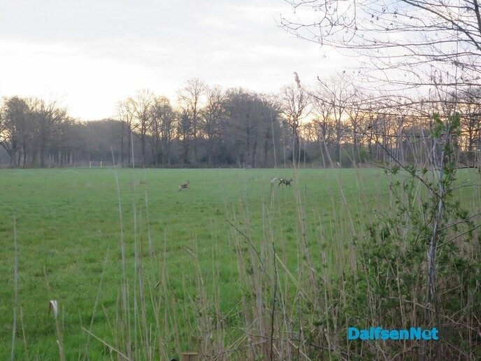 Mijmeren en struinen vanaf Hoonhorst - Foto: Wim