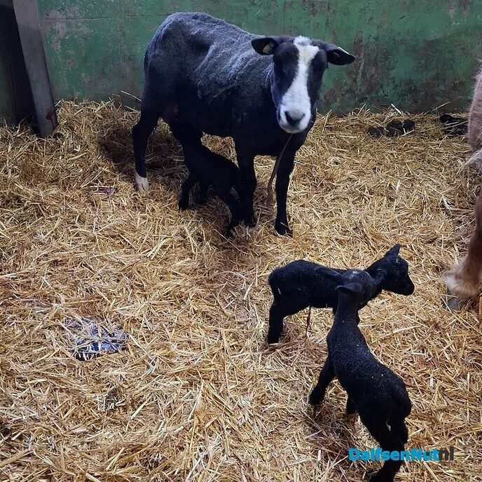 Herinnert u zich deze nog…?? - Foto: Ingezonden foto