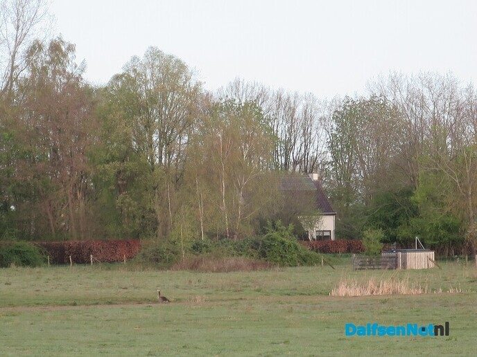 Een vroege zondagmorgenwandeling vanaf Hoonhorst - Foto: Wim