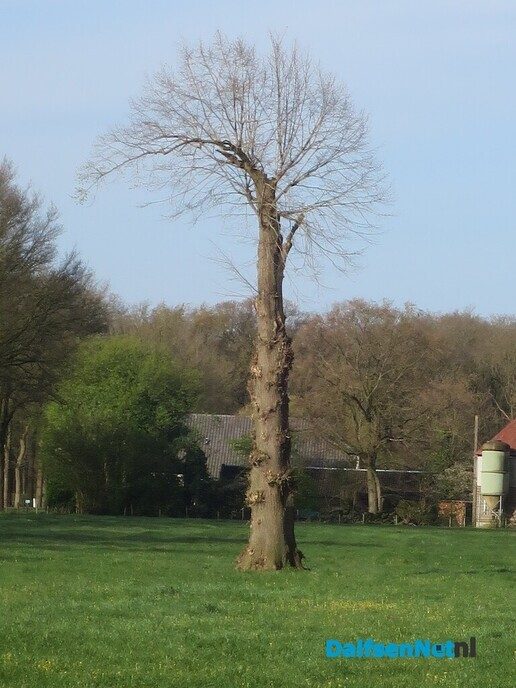 Een vroege zondagmorgenwandeling vanaf Hoonhorst - Foto: Wim