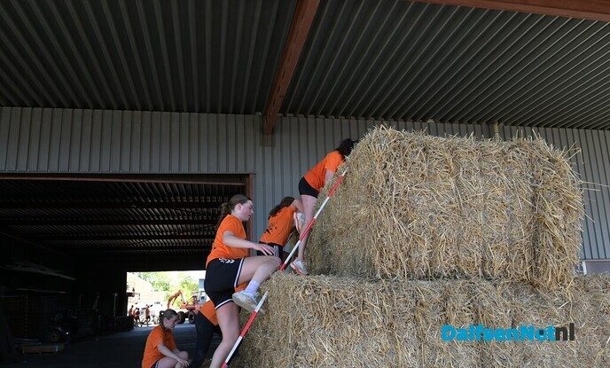 Een sportief spektakel bij de Morrenhof Jansen Dalfser Obstakelloop - Foto: Johan Bokma
