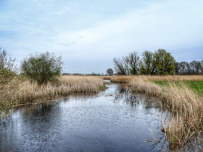 Femmie bij andere Holten: niet bij Rijssen - Foto: Femmie Smink