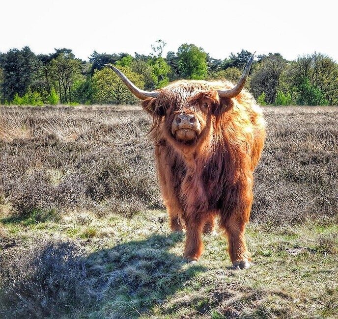 Even de tong uitsteken naar Femmie - Foto: Femmie Smink