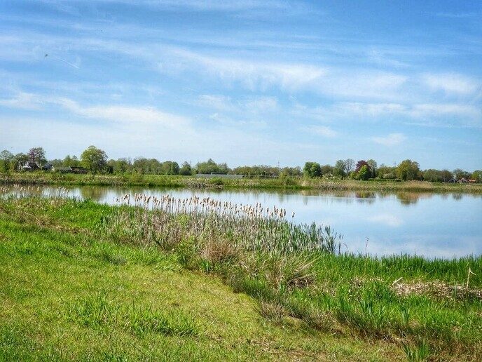 Niet de Stuwzangers bij de Zonnehorst, maar de rietzanger - Foto: Femmie Smink