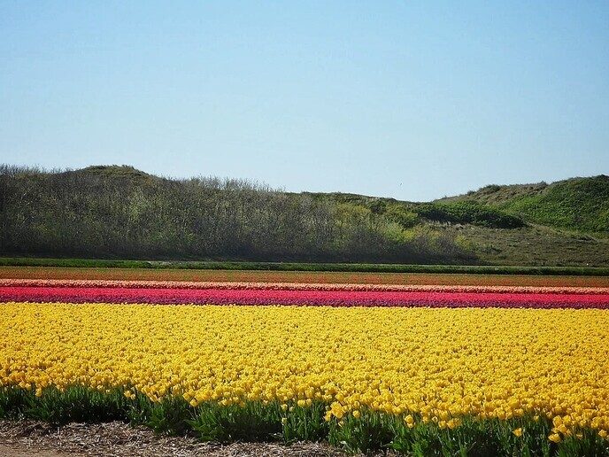 Femmie: Groetjes uit Julianadorp  - Foto: Femmie Smink