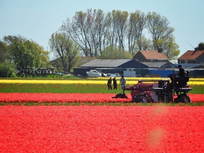 Femmie: Groetjes uit Julianadorp  - Foto: Femmie Smink