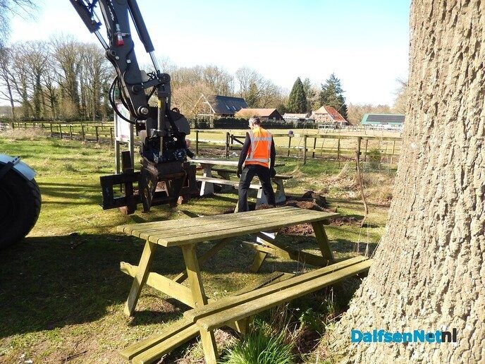 Weer een heel bankje - Foto: Willy