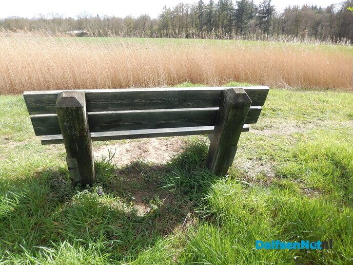 Pinksterbloemen en wat meer natuurfoto’s rond Dalfsen - Foto: Willy