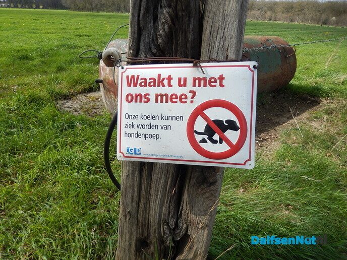 Pinksterbloemen en wat meer natuurfoto’s rond Dalfsen - Foto: Willy