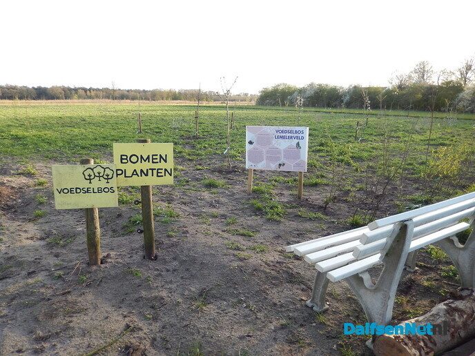 Aanplant voedselbos Lemelerveld slaat goed aan - Foto: Willy
