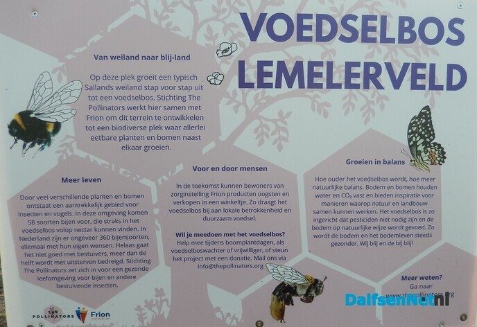 Aanplant voedselbos Lemelerveld slaat goed aan - Foto: Willy
