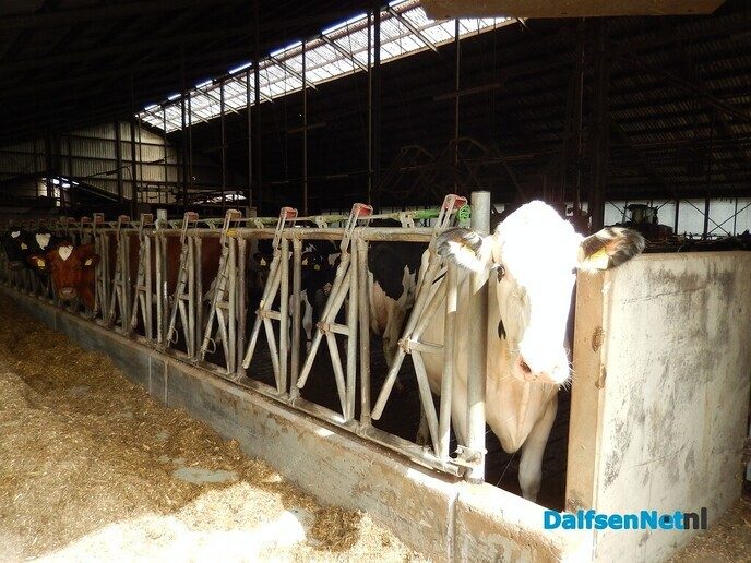 Vee-tunnel in Hessum mogelijk over een paar weken in gebruik - Foto: Willy