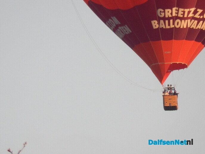 Gezellige avond in het Sterrebos - Foto: Willy