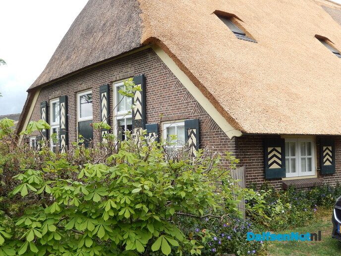 Een paar weken geleden was hij er nog druk mee bezig - Foto: Willy