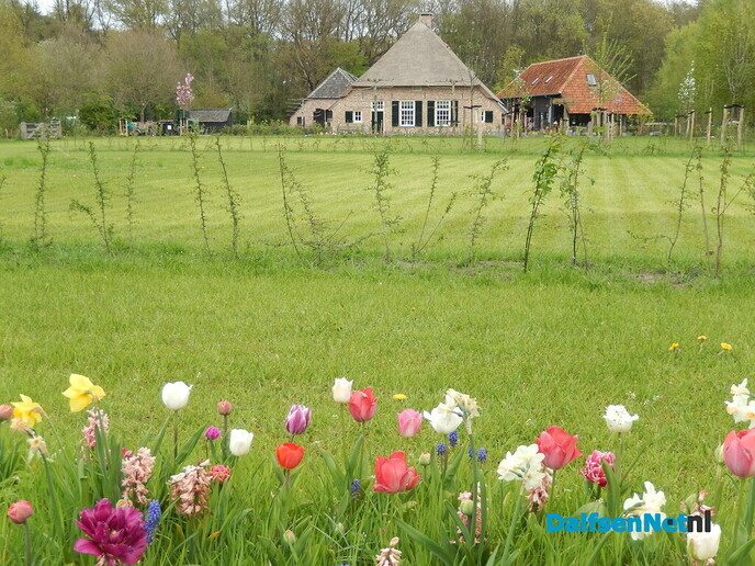 Dit is toch prachtig - Foto: Willy