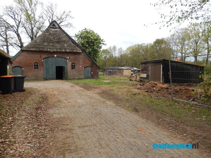 Niens gaat er korte metten mee maken - Foto: Willy