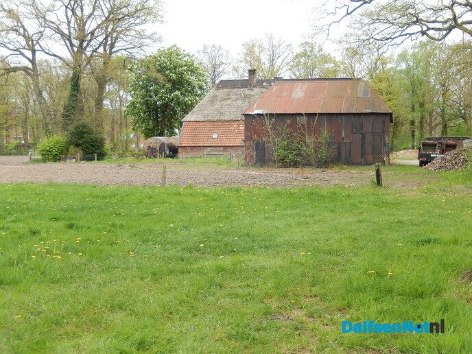 Niens gaat er korte metten mee maken - Foto: Willy