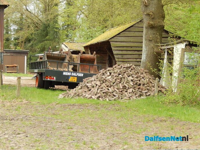 Niens gaat er korte metten mee maken - Foto: Willy