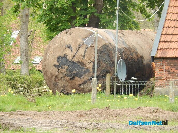 Niens gaat er korte metten mee maken - Foto: Willy