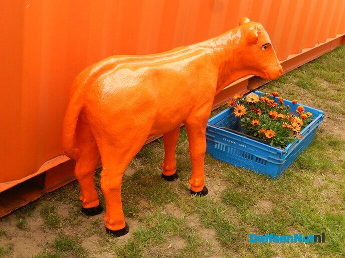 Gezellige drukte rond opbouw Oranjefeest in Dalfsen - Foto: Willy