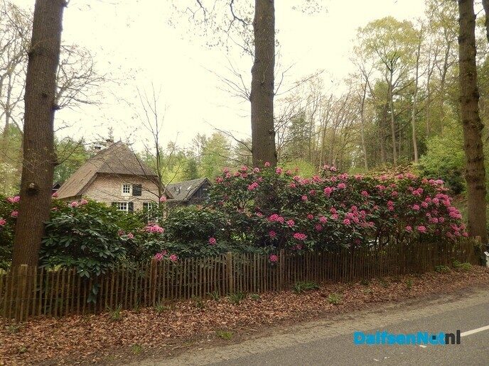 De zon heeft wonderen gedaan - Foto: Willy