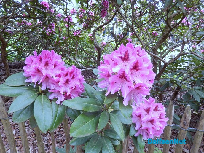 De zon heeft wonderen gedaan