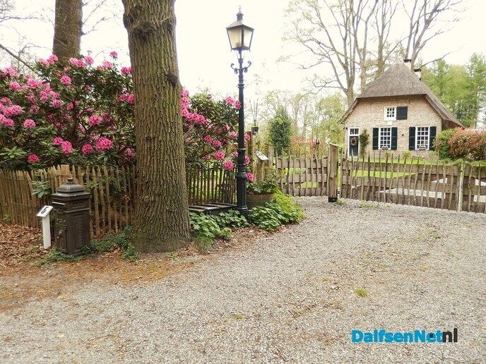 De zon heeft wonderen gedaan - Foto: Willy