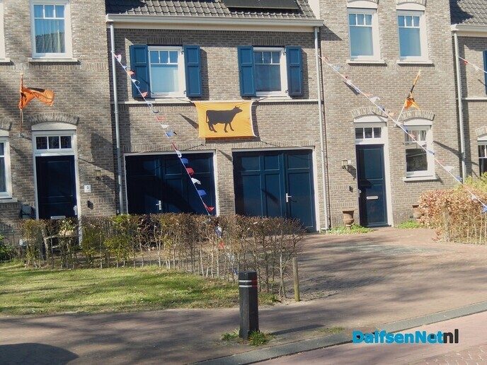 Straatversiering in Dalfsen zelf - Foto: Willy
