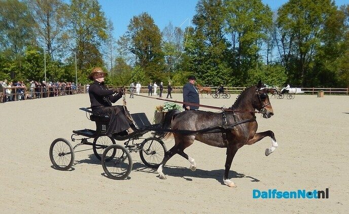 Fantastisch tuigpaardenspektakel bij manege De Hooge Weg - Foto: Willy