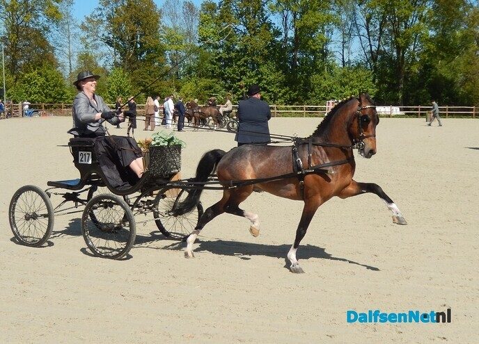 Fantastisch tuigpaardenspektakel bij manege De Hooge Weg - Foto: Willy