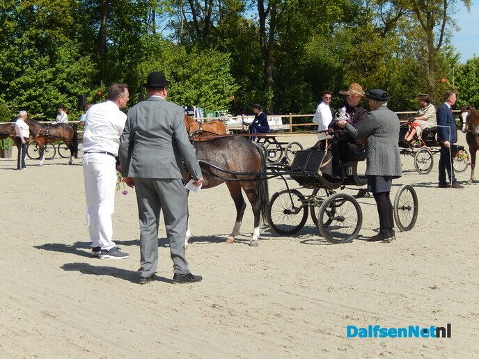 Fantastisch tuigpaardenspektakel bij manege De Hooge Weg - Foto: Willy