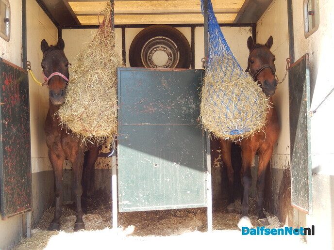 Fantastisch tuigpaardenspektakel bij manege De Hooge Weg - Foto: Willy