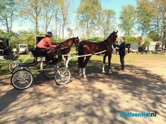 Fantastisch tuigpaardenspektakel bij manege De Hooge Weg - Foto: Willy