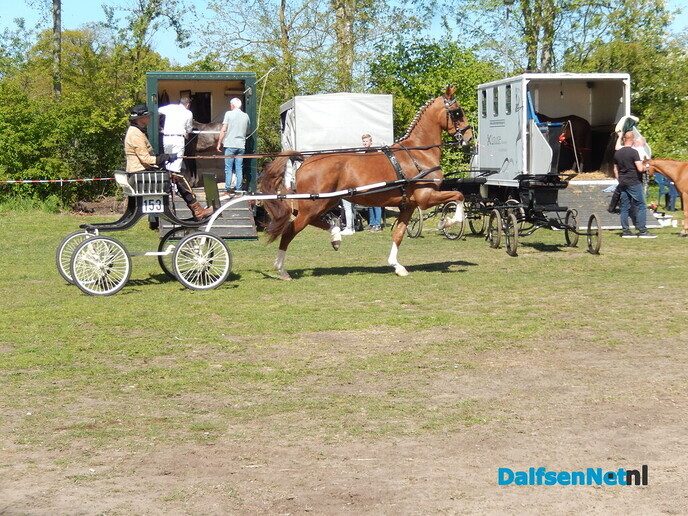 Fantastisch tuigpaardenspektakel bij manege De Hooge Weg - Foto: Willy