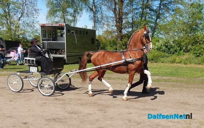 Fantastisch tuigpaardenspektakel bij manege De Hooge Weg - Foto: Willy
