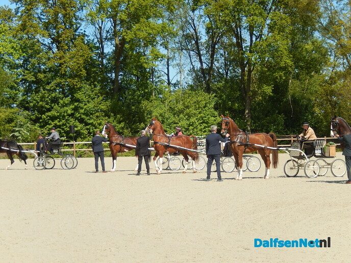 Fantastisch tuigpaardenspektakel bij manege De Hooge Weg - Foto: Willy