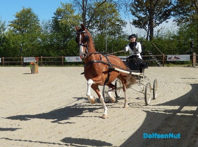 Fantastisch tuigpaardenspektakel bij manege De Hooge Weg - Foto: Willy