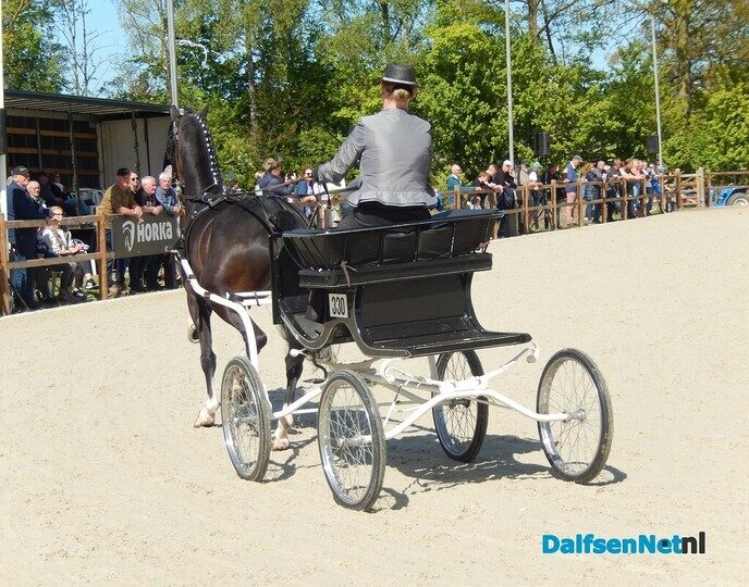 Fantastisch tuigpaardenspektakel bij manege De Hooge Weg - Foto: Willy