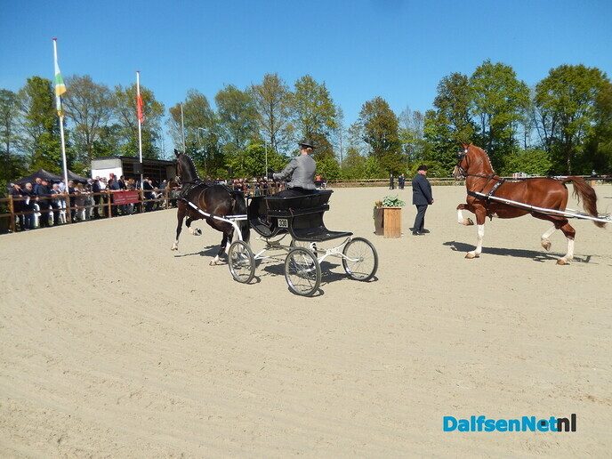 Fantastisch tuigpaardenspektakel bij manege De Hooge Weg - Foto: Willy