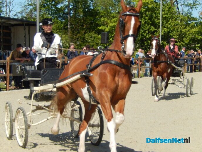 Fantastisch tuigpaardenspektakel bij manege De Hooge Weg - Foto: Willy