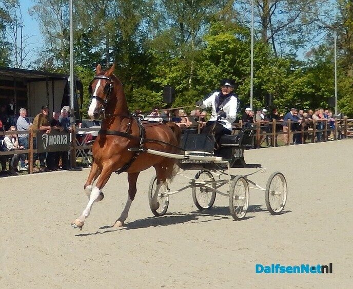 Fantastisch tuigpaardenspektakel bij manege De Hooge Weg - Foto: Willy