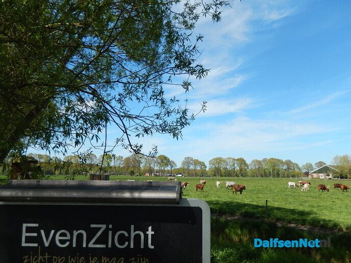 Deze kwamen we nog tegen - Foto: Willy